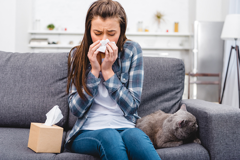How to Reduce Indoor Allergens in Your Home 5 reduce indoor allergens